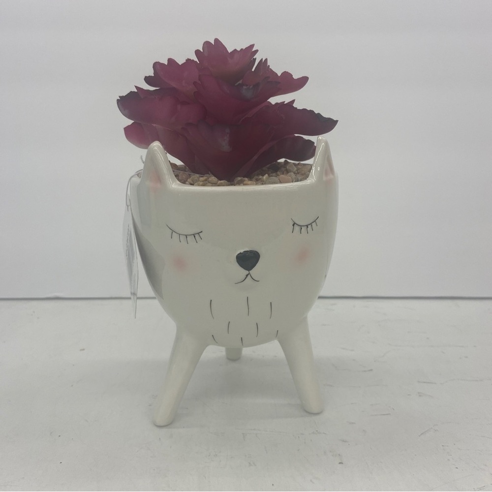 Flower Pot Girl Cat for Succulent & Plants | Cute Planter | Animal Planter